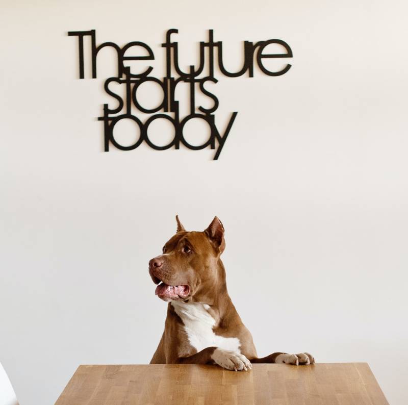 拯救「新年新希望」大作戰